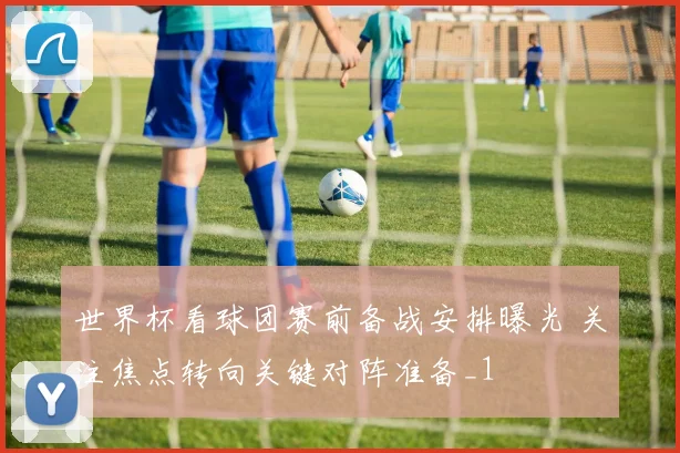 世界杯看球团赛前备战安排曝光 关注焦点转向关键对阵准备_1